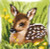 Little Deer Cushion / PNV150673