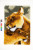 Lion Friendship II - 
 Latch Hook Rug / PNV150913