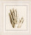 Hands / PNV154230