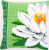 White Lotus Flower Cushion / PNV156009