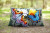 Butterfly & Yellow Flower Cushion / PNV156041