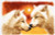 Wolves - Latch Hook Rug / PNV156064