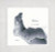 Little Baby Foot / PNV158042