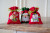 Santa/Snowman/Reindeer Bags (Set of 3) / PNV158346