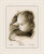 Baby Hug / PNV158510