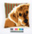 Dog Cushion / PNV158555