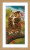 Owl in Autumn / PNV164961
