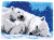 Ice Bears Rug - Latch Hook / PNV170803