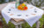 Doggies Tablecloth / PNV184979