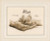 Hands & Feet - Birth Announcement / PNV202331