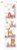 In The Forest - Growth Chart / PNV202494
