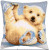 Little Polar Bear Cushion / PNV203141