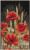 Wild Poppies / PNV204435