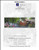 Cedar's Mill Spring / Charting Creations