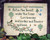 Out In The Forest / Abbey Lane Designs