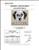 Dalmatian - Welcome (Black) / Dogshoppe Designs