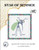 Star Of Summer / Alessandra Adelaide Needleworks