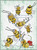 Sugar Hunting Accident / Alessandra Adelaide Needleworks