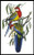 Rosehill Parakeets - #11953 / Artecy Cross Stitch