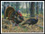 Beauty And The Feast - #12181-Rm / Artecy Cross Stitch