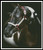 Beauty In The Shadows - #12522-Ms / Artecy Cross Stitch