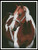 Beauty In The Shadows 2 - #12586-Ms / Artecy Cross Stitch