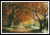 Forever Autumn - #10319-Mgl / Artecy Cross Stitch