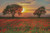 Poppies Sunset (Large) - 15279 / Artecy Cross Stitch