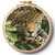Jaguar At Rest Hoop (Large) - 15836-Mhs / Artecy Cross Stitch