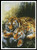 Forest Morning - #10813-Kh / Artecy Cross Stitch