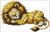 Sleepy Lion - 16224 / Artecy Cross Stitch