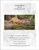 A Drink At The Pond / Charting Creations