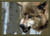 Beware! / Cody Country Crossstitch & Crafts