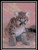 Mountain Lion Cub / Cody Country Crossstitch & Crafts