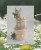 3D Summer Cat / Cotton Pixels