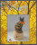 3D Autumn Cat / Cotton Pixels
