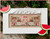 Monthly Mini Village - June / Country Cottage Needleworks