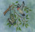 Suet Duet / Crossed Wing Collection