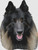 Belgian Tervuren - Smile / Dogshoppe Designs