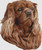 Cavalier Spaniel - Portrait (Ruby) / Dogshoppe Designs