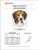 Beagle - Portrait (Tri) / Dogshoppe Designs