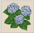 Hydrangea / Ellen Maurer-Stroh