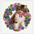 Flowercat Pauline / Ellen Maurer-Stroh