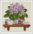 Box Collector (The) / Ellen Maurer-Stroh
