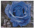 The Blue Rose / Fox Trails Needlework