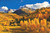 Colorado Fall / Fox Trails Needlework