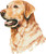 Labrador Retriever In Watercolor / Fox Trails Needlework