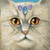 Herman / Heaven And Earth Designs