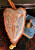 Quaker Scissor Heart - Plain & Fancy Collection / Homespun Elegance Ltd