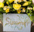 Summer Flourish / Jan Hicks Creates